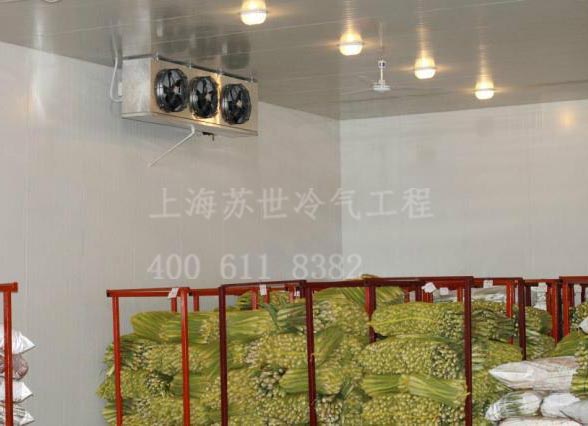蔬果冷库 保鲜库 021-66105069 上海苏世值得信赖