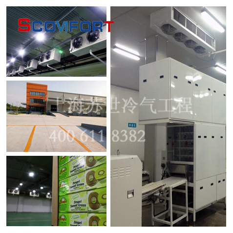 各类型冷库设计 非标定制冷库 上海苏世冷气工程值得信赖 021-66105068